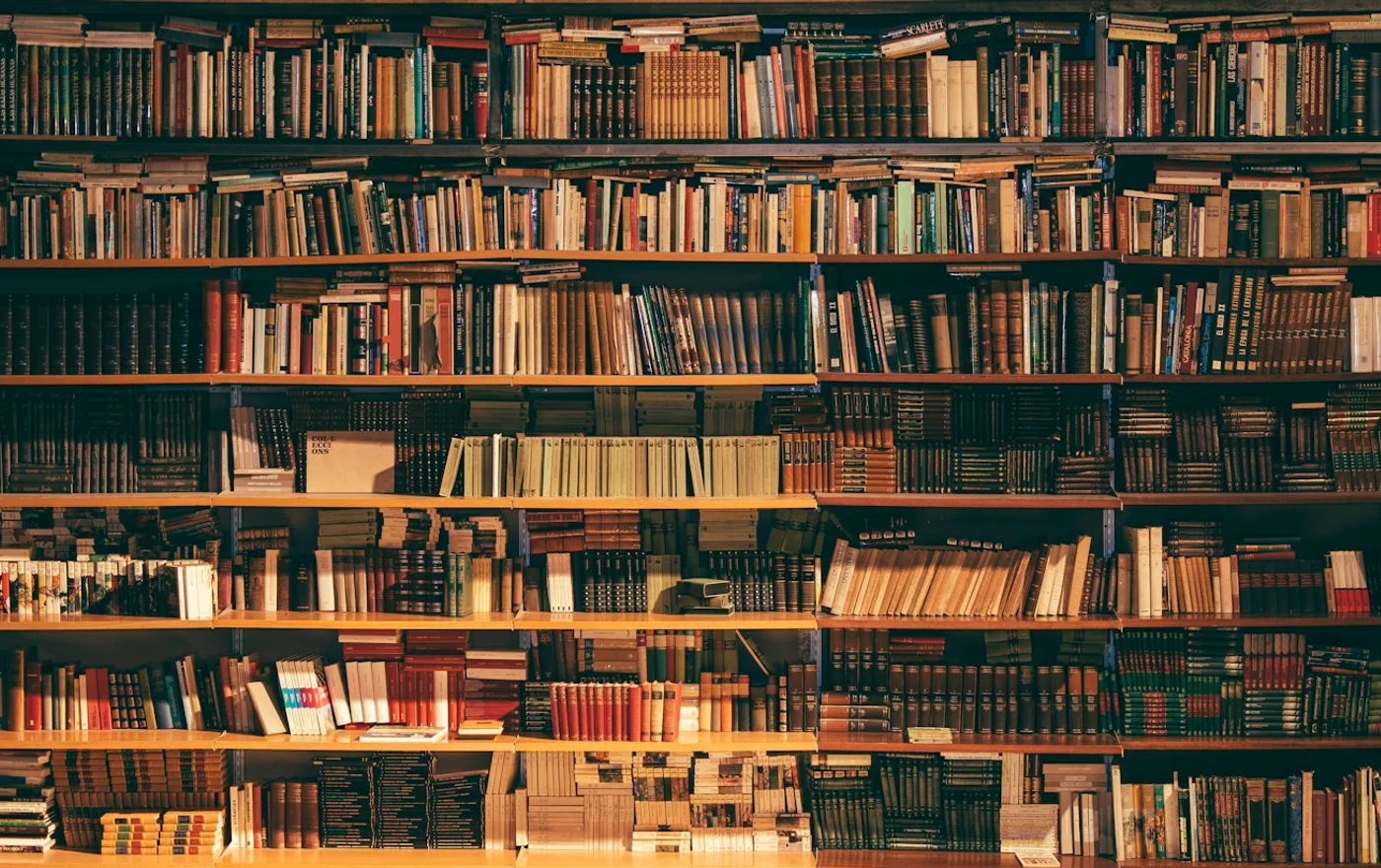 Estantes de livros em uma biblioteca — imagem ilustrativa; não representa necessariamente o local citado.